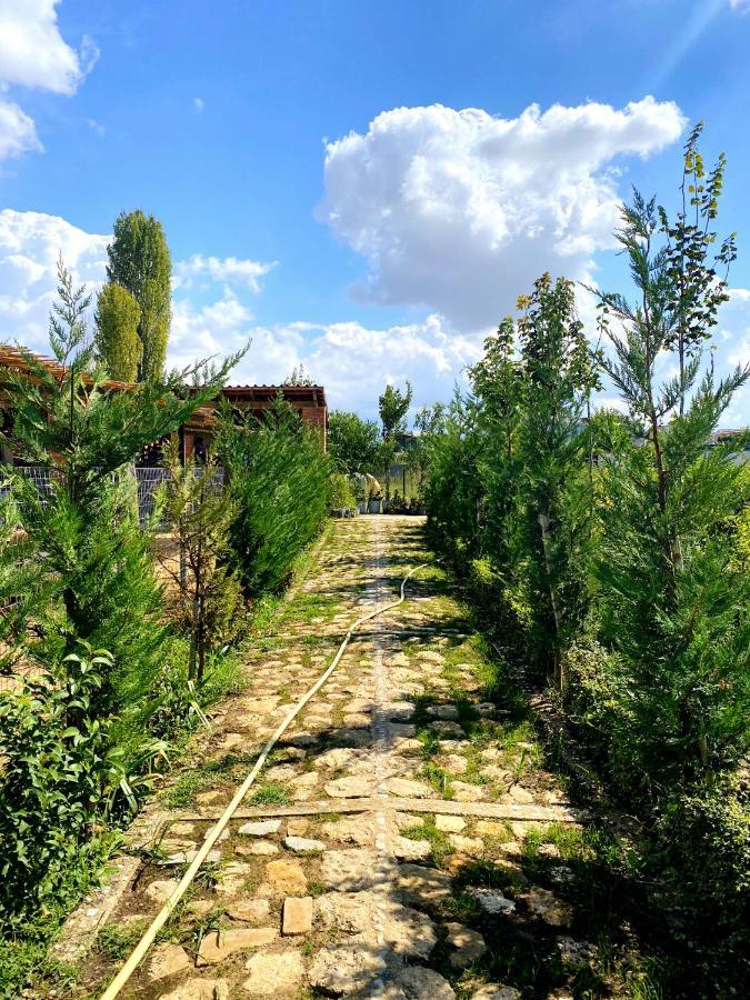 Blerina Farm House Guest House Laknas Exterior photo